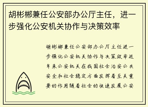 胡彬郴兼任公安部办公厅主任，进一步强化公安机关协作与决策效率
