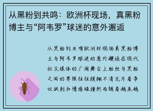 从黑粉到共鸣：欧洲杯现场，真黑粉博主与“阿韦罗”球迷的意外邂逅